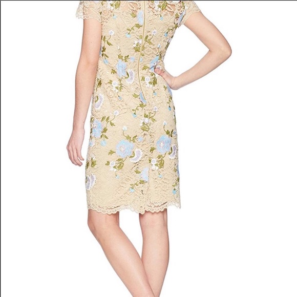 Calvin Klein Lace Dress Beige Floral Short Sleeve - Picture 6 of 8